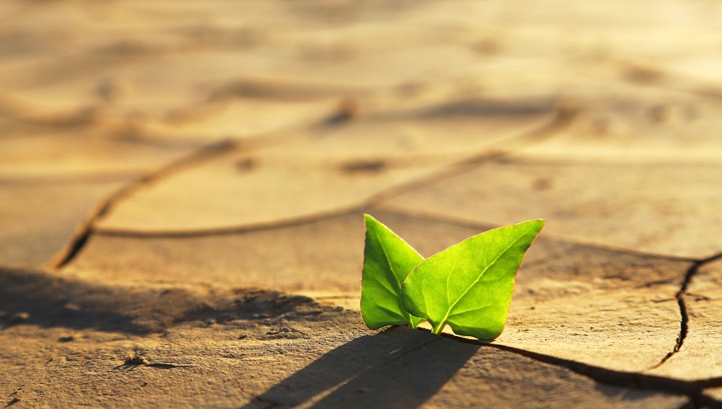 Systemic thinking is vital to tackle today's non-linear challenges